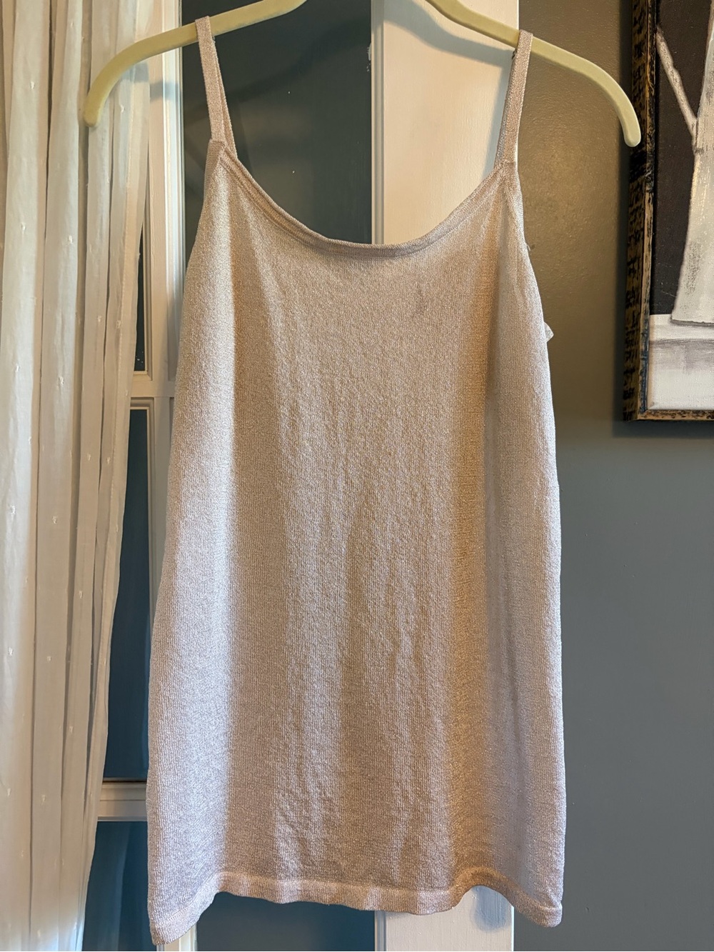 Shimmery Blush Pink Slip Cami Tank